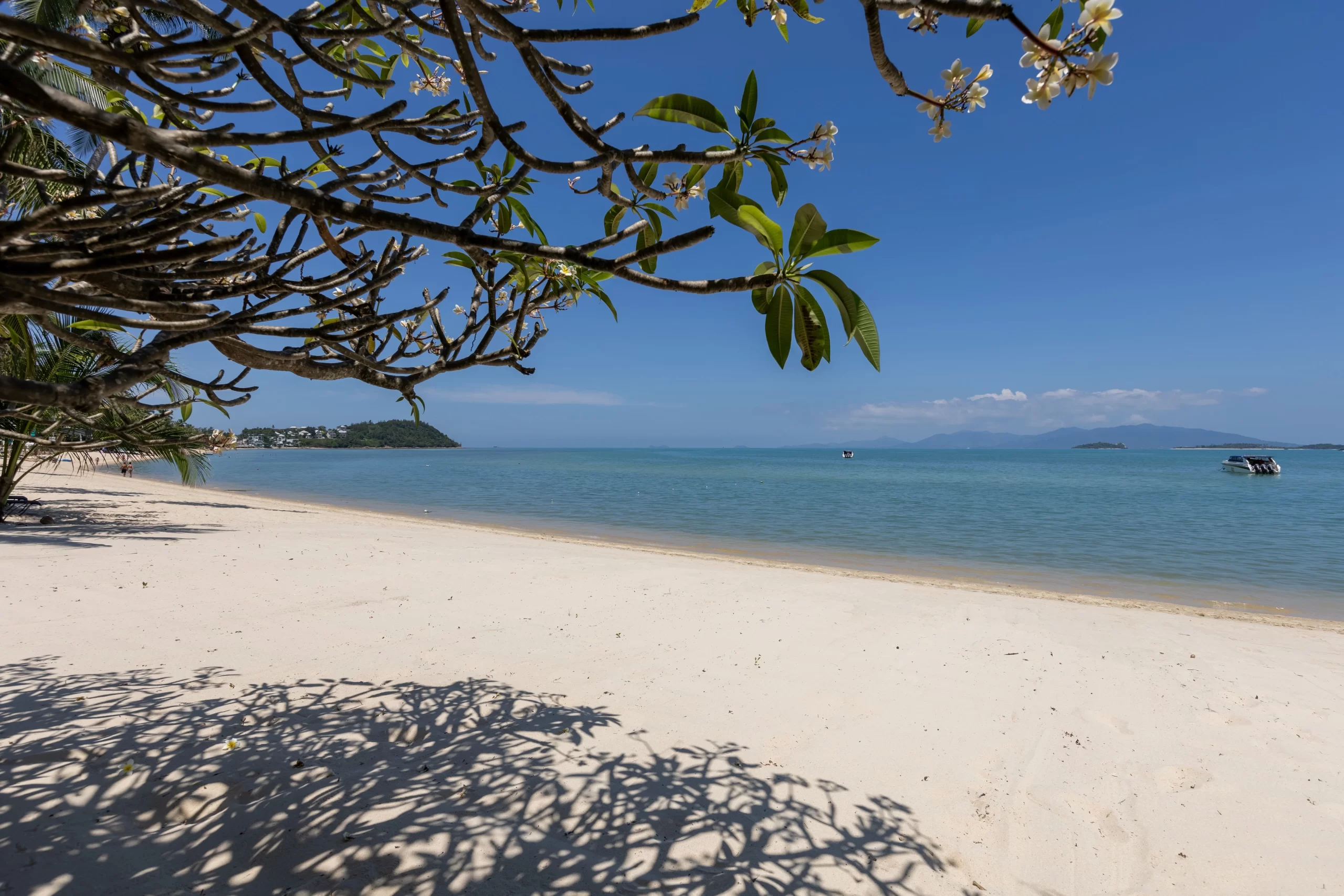 bangrak beach villa bacaya